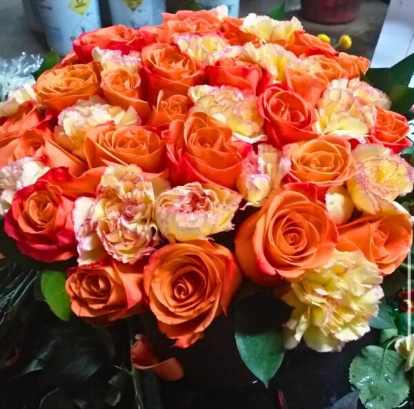 Rosas naranjas Norte Cali