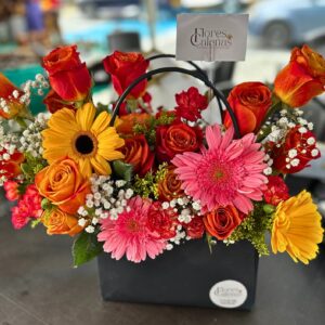 Rosas Naranjas, Cartera lujo Cali